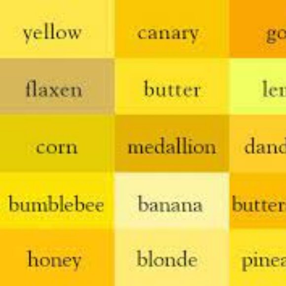 Clothing || Ties & Scarves - Picture 13 of 14